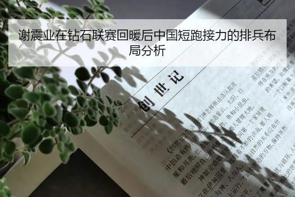 谢震业在钻石联赛回暖后中国短跑接力的排兵布局分析