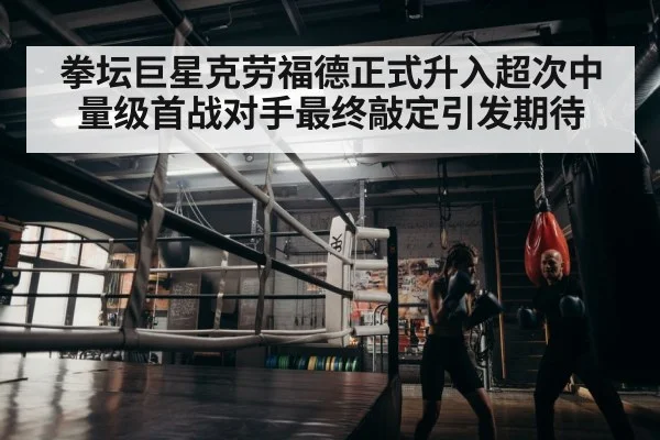 boxer training