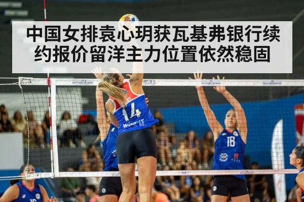 women's volleyball match