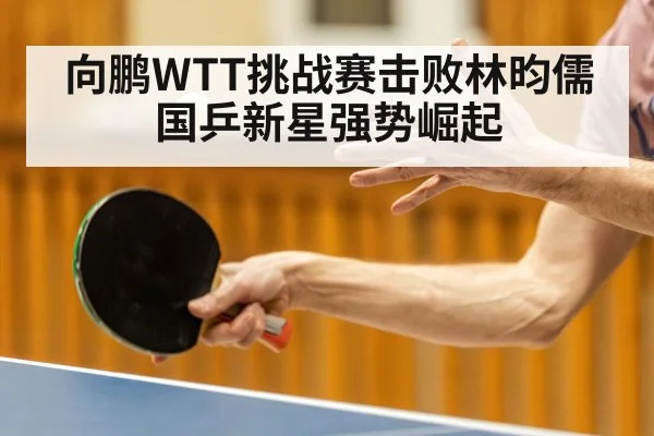 向鹏WTT挑战赛击败林昀儒 国乒新星强势崛起